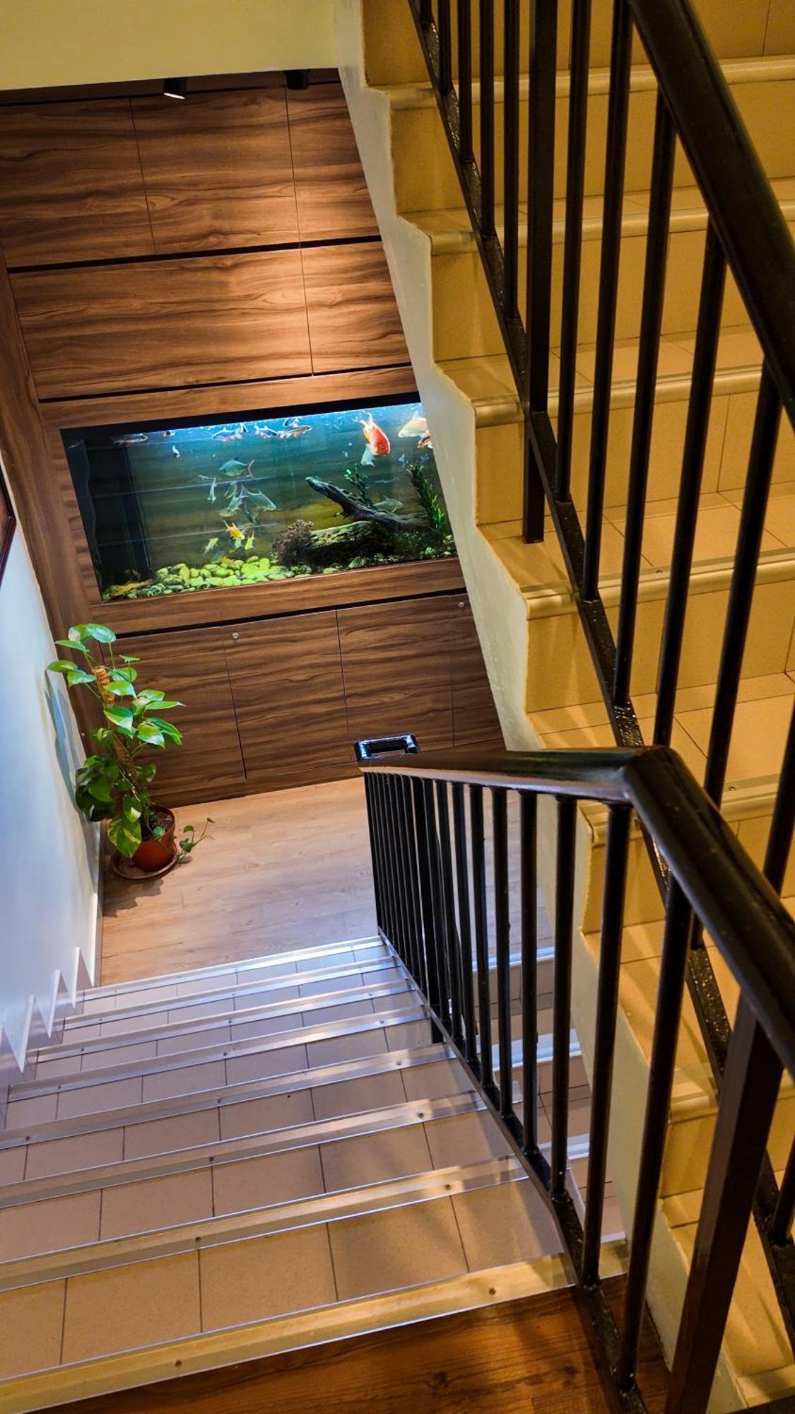 Highlanders Hotel Cao nguyên Cameron Ngoại thất bức ảnh
